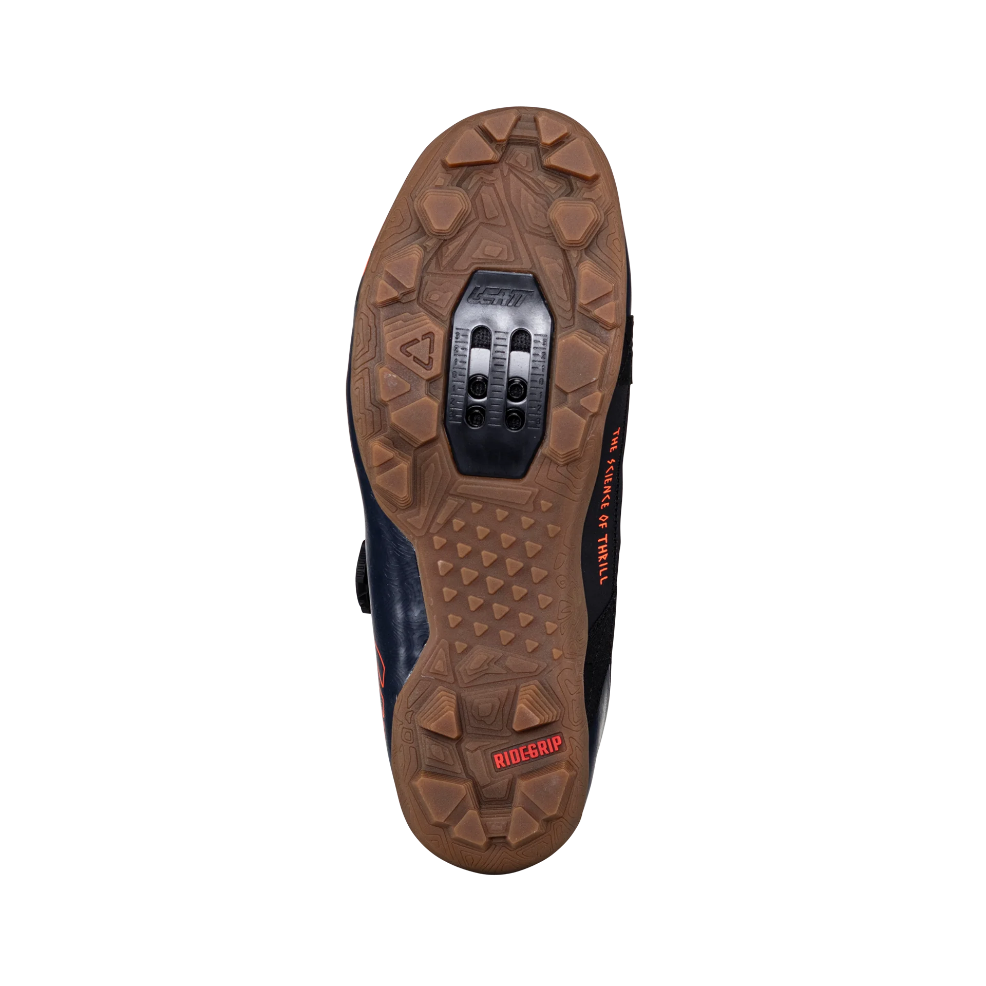 Shoes ProClip 8.0 Endurance - Women - Image 4